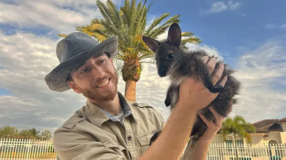 Shadow holding a wallaby outside during an animal encounter