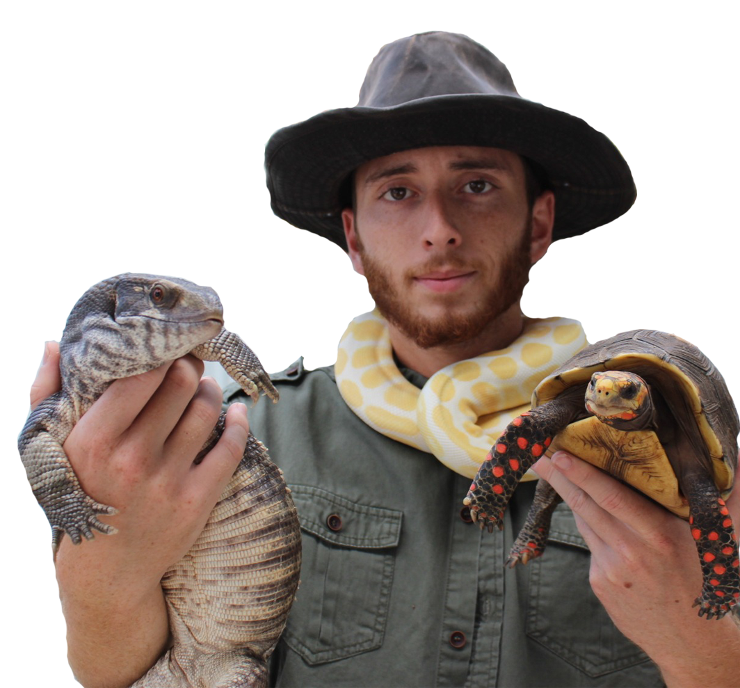 Exotic animal show