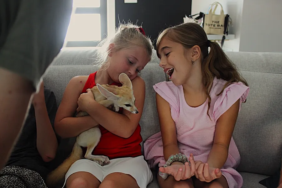 Girl cuddling a fennec fox on the couch while her friend laughs beside her