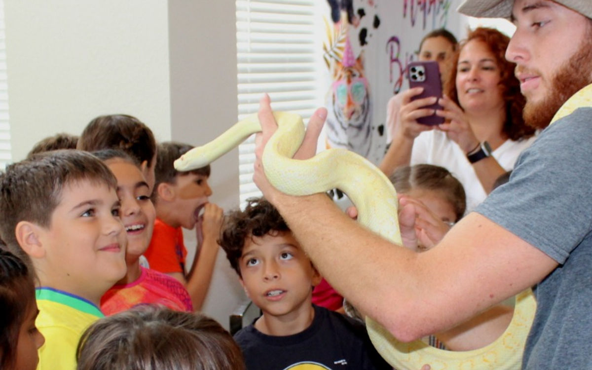 Darwin Carpet Python